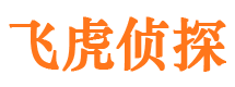 大连外遇出轨调查取证